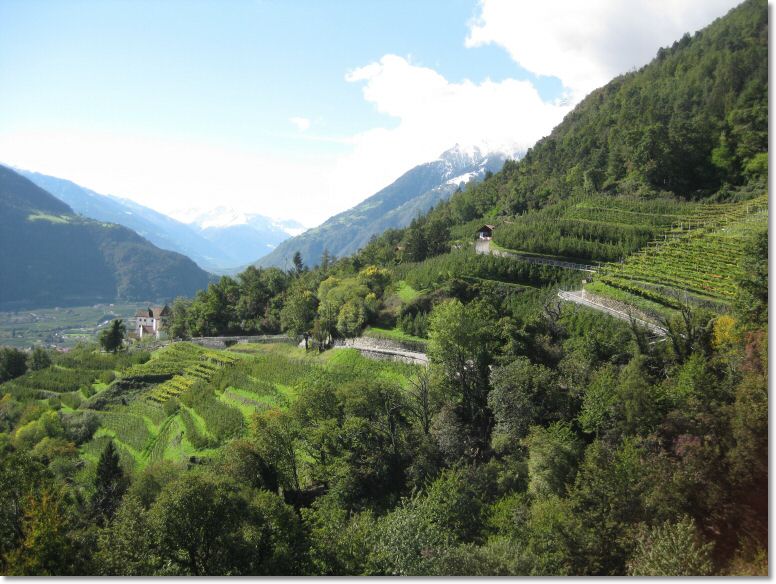 Algund2 (32).jpg